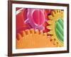 Multicolored Watch Gears-Micro Discovery-Framed Photographic Print