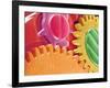 Multicolored Watch Gears-Micro Discovery-Framed Photographic Print