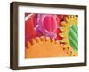 Multicolored Watch Gears-Micro Discovery-Framed Photographic Print