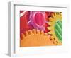 Multicolored Watch Gears-Micro Discovery-Framed Photographic Print