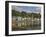 Multicoloured Houses and Small Boats in the Harbour at Tobermory, Balamory, Mull, Scotland, UK-Neale Clarke-Framed Photographic Print