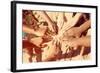 Multicultural Childrens Hands in a Circle. Instagram Effect-soupstock-Framed Photographic Print