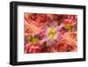 Multiple exposure and rotations on flower.-Adam Jones-Framed Photographic Print