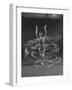 Multiple Exposure of a Woman Playing with a Hula Hoop-J^ R^ Eyerman-Framed Photographic Print