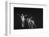 Multiple Exposure of Antony Blum in New York City Ballet Production of Dances at a Gathering-Gjon Mili-Framed Photographic Print