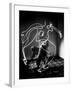 Multiple Exposure of Artist Pablo Picasso Using Flashlight to Make Light Drawing of a Figure-Gjon Mili-Framed Premium Photographic Print
