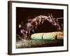 Multiple Exposure of Dick Fosbury in Action During High Jump at Summer Olympics-Michael Rougier-Framed Premium Photographic Print