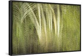 Multiple Exposure of Florida Palm Trees in Water-Rona Schwarz-Framed Photographic Print