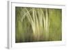 Multiple Exposure of Florida Palm Trees in Water-Rona Schwarz-Framed Photographic Print