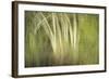 Multiple Exposure of Florida Palm Trees in Water-Rona Schwarz-Framed Photographic Print