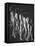 Multiple Exposure of Nude Female Descending Stairs-Gjon Mili-Framed Stretched Canvas