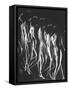 Multiple Exposure of Nude Female Descending Stairs-Gjon Mili-Framed Stretched Canvas