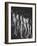 Multiple Exposure of Nude Female Descending Stairs-Gjon Mili-Framed Photographic Print