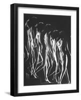 Multiple Exposure of Nude Female Descending Stairs-Gjon Mili-Framed Photographic Print