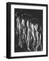 Multiple Exposure of Nude Female Descending Stairs-Gjon Mili-Framed Photographic Print