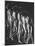 Multiple Exposure of Nude Female Descending Stairs-Gjon Mili-Mounted Photographic Print