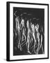 Multiple Exposure of Nude Female Descending Stairs-Gjon Mili-Framed Photographic Print