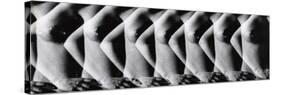 Multiple Exposure of Nude Female Torso-Gjon Mili-Stretched Canvas