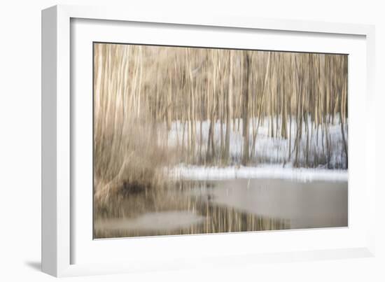 Multiple Exposure of Trees in Winter, Eagle Creek Park, Indiana-Rona Schwarz-Framed Photographic Print