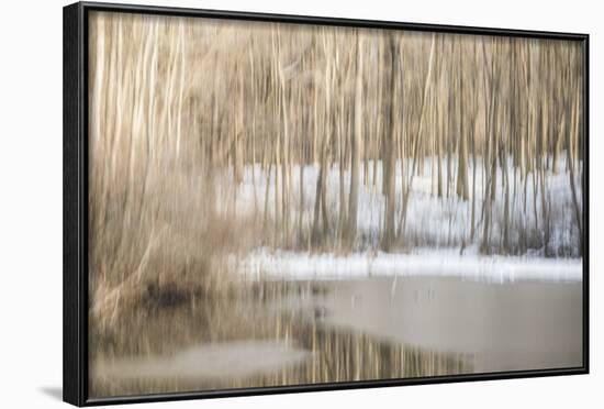 Multiple Exposure of Trees in Winter, Eagle Creek Park, Indiana-Rona Schwarz-Framed Photographic Print