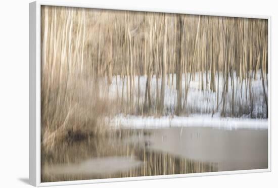 Multiple Exposure of Trees in Winter, Eagle Creek Park, Indiana-Rona Schwarz-Framed Photographic Print
