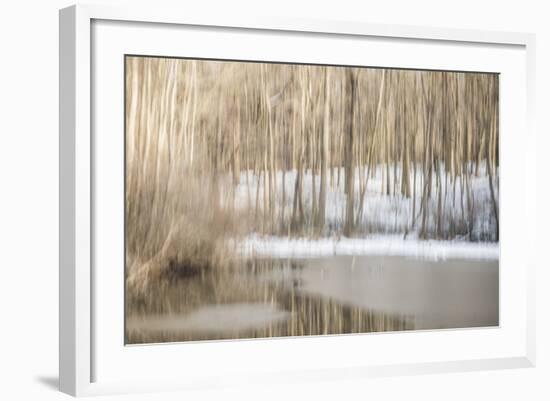 Multiple Exposure of Trees in Winter, Eagle Creek Park, Indiana-Rona Schwarz-Framed Photographic Print