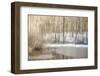 Multiple Exposure of Trees in Winter, Eagle Creek Park, Indiana-Rona Schwarz-Framed Photographic Print