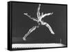 Multiple Exposure Shot of a Gymnast Jumping on a Trampoline-J^ R^ Eyerman-Framed Stretched Canvas