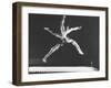 Multiple Exposure Shot of a Gymnast Jumping on a Trampoline-J^ R^ Eyerman-Framed Photographic Print