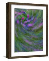 Multiple Exposure Swirl of Purple Petunias, Arlington, Virginia, USA-Corey Hilz-Framed Photographic Print