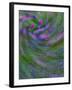 Multiple Exposure Swirl of Purple Petunias, Arlington, Virginia, USA-Corey Hilz-Framed Photographic Print