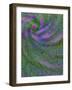 Multiple Exposure Swirl of Purple Petunias, Arlington, Virginia, USA-Corey Hilz-Framed Photographic Print