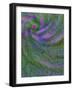 Multiple Exposure Swirl of Purple Petunias, Arlington, Virginia, USA-Corey Hilz-Framed Photographic Print