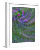 Multiple Exposure Swirl of Purple Petunias, Arlington, Virginia, USA-Corey Hilz-Framed Photographic Print