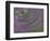 Multiple Exposure Swirl of Purple Petunias, Arlington, Virginia, USA-Corey Hilz-Framed Photographic Print