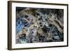 Multiple exposures of toy army men-null-Framed Photo