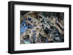 Multiple exposures of toy army men-null-Framed Photographic Print