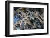 Multiple exposures of toy army men-null-Framed Photographic Print