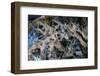 Multiple exposures of toy army men-null-Framed Photo