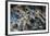 Multiple exposures of toy army men-null-Framed Photographic Print