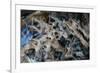 Multiple exposures of toy army men-null-Framed Photo