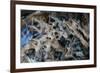 Multiple exposures of toy army men-null-Framed Photo