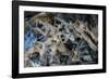 Multiple exposures of toy army men-null-Framed Photo