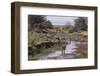 Multiple Species Drinking at a River-DLILLC-Framed Photographic Print