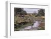 Multiple Species Drinking at a River-DLILLC-Framed Photographic Print