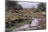 Multiple Species Drinking at a River-DLILLC-Mounted Photographic Print