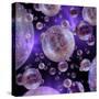 Multiverse, Artwork-Detlev Van Ravenswaay-Stretched Canvas