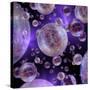 Multiverse, Artwork-Detlev Van Ravenswaay-Stretched Canvas