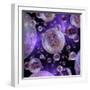 Multiverse, Artwork-Detlev Van Ravenswaay-Framed Premium Photographic Print