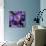 Multiverse, Artwork-Detlev Van Ravenswaay-Photographic Print displayed on a wall